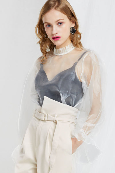 Penia Organza Blouse-2 Colors