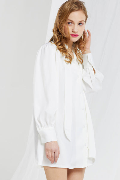 Arden Tie Shirt Dress