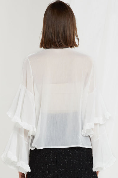 Audra Sheer Tie-neck Blouse