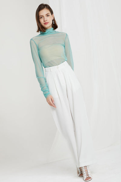 storets.com Brynlee Mesh Turtleneck Top-4 Colors