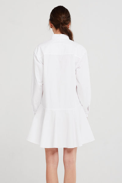 Chloe Flare Hem Shirt Dress