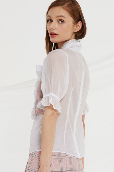 Elisa Sheer Ribbon Tie Blouse