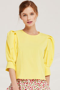 Skylar Puff Sleeve Crew Neck Top by STORETS