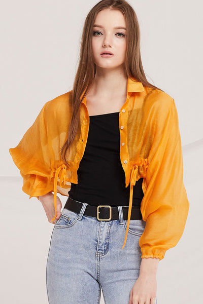 Abril See-Thru Crop Shirt