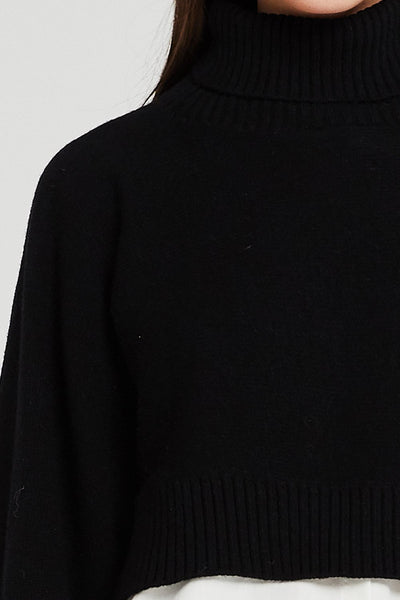 storets.com Skyler Cropped Knit Turtleneck Sweater