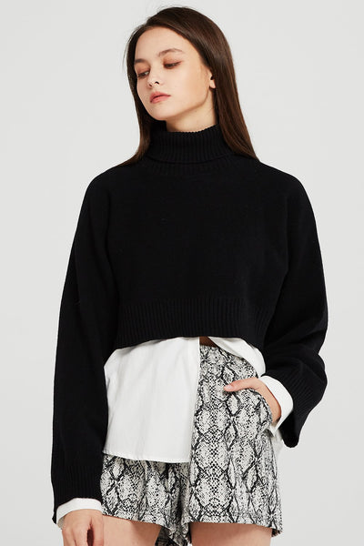 storets.com Skyler Cropped Knit Turtleneck Sweater