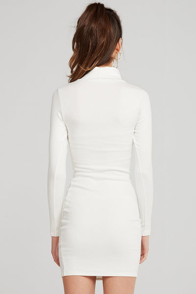 Whitney Turtleneck Bodycon Dress