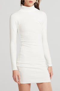 Whitney Turtleneck Bodycon Dress