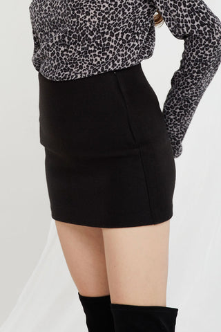 Leanna Mini Skirt