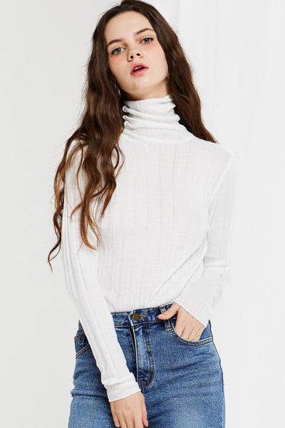 Fena Ribbed Turtle Neck-3 Colors