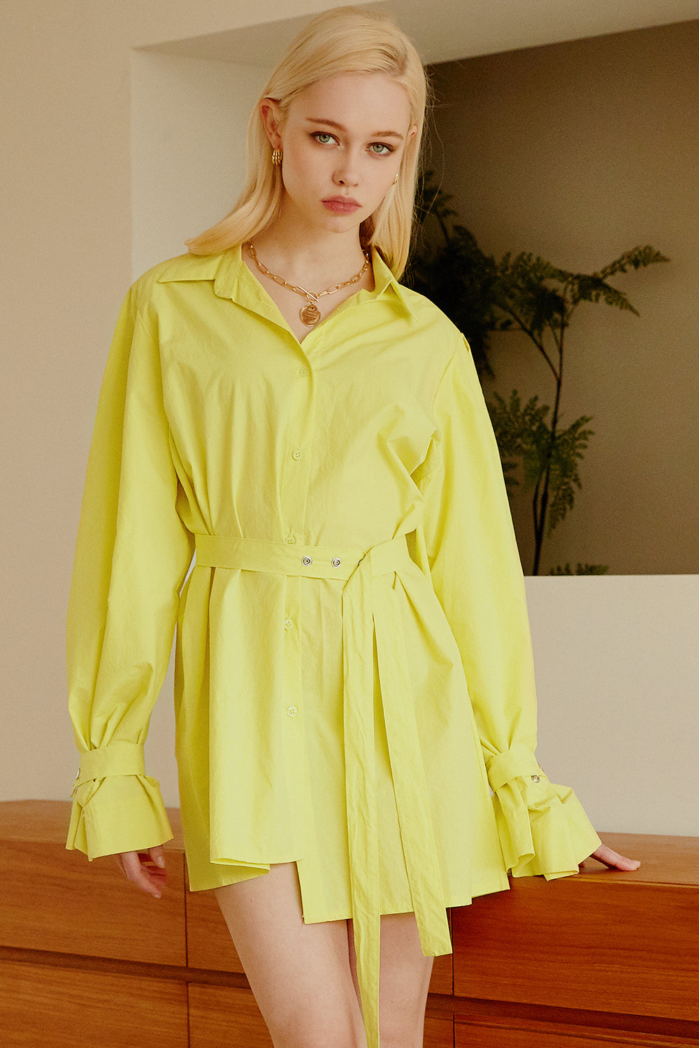 Tenley Asymmetric Hem Shirt Dress