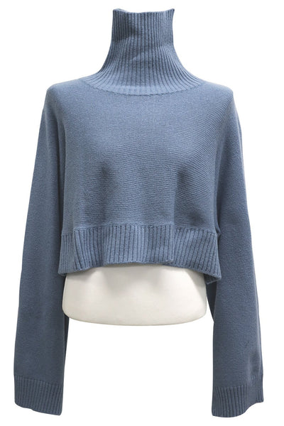 storets.com Skyler Cropped Knit Turtleneck Sweater