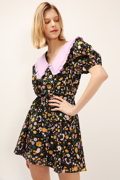 Jamie Contrast Collar Floral Dress