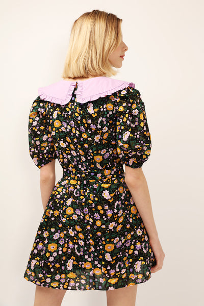 Jamie Contrast Collar Floral Dress