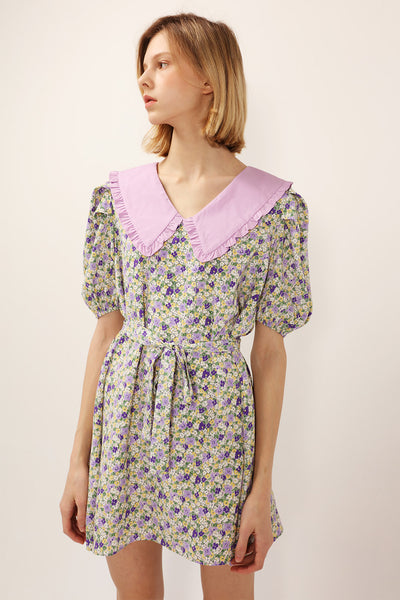 Jamie Contrast Collar Floral Dress